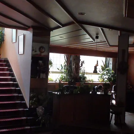 莱克斯酒店 酒店